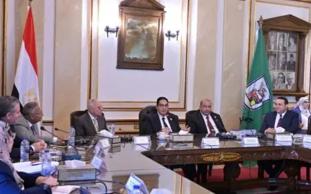 د.عبدالصادق يشدد على ضرورة تطوير برامج أكاديمية جديدة لتلبية احتياجات سوق العمل