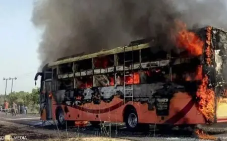 مصرع وإصابة 20 شخصا في حادث مأساوي بالهند