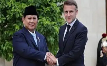 رئيسا فرنسا وإندونيسيا يتناولان تعزيز التعاون الاستراتيجي في قصر الإليزيه