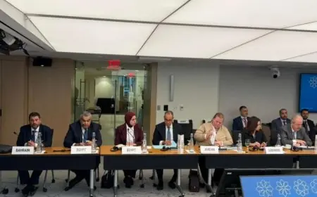 وزير الخارجية يؤكد قوة الاقتصاد المصري بفضل الإصلاحات الهيكلية الناجحة