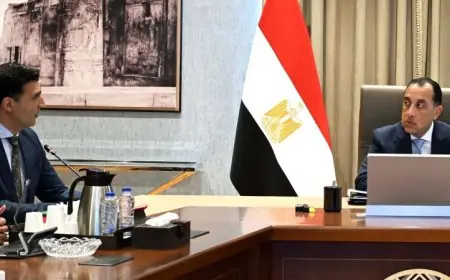 رئيس الوزراء يستعرض أحدث مستجدات البرنامج الوطني لتطوير صناعة السيارات