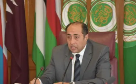 حسام زكي يؤكد دعم الجامعة العربية لعملية سياسية لإنهاء الحرب في السودان