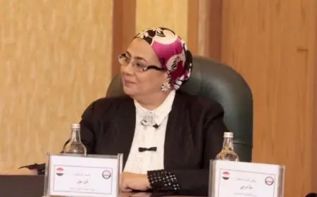 أمل عمار تكشف عن تأثير الغرف الصديقة للطفل في تحقيق العدالة المصرية