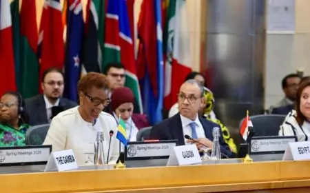 عبد العاطي يتحدث في اجتماع المجموعة الاستشارية الإفريقية مع رئيس البنك الدولي لتعزيز التعاون الاقتصادي