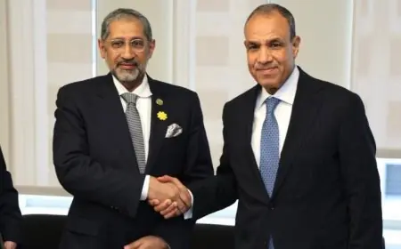 وزير الخارجية يجتمع مع رئيس المصرف العربي لتنمية الاقتصاد في أفريقيا لتعزيز التعاون الاقتصادي