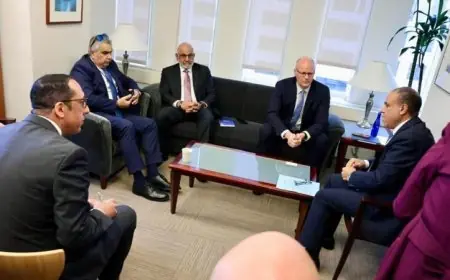 وزير الخارجية يبرز الموقف الثابت لمصر تجاه القضية الفلسطينية