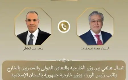 عبد العاطي يتحدث مع نظيره الباكستاني حول آخر التطورات في الوضع الإقليمي