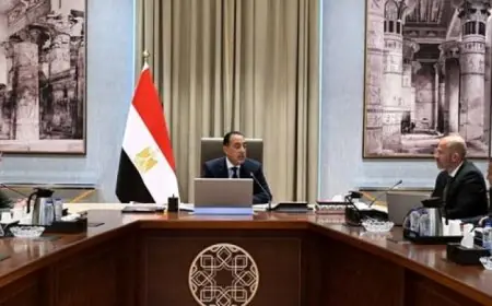 مدبولي يقدم رؤية جديدة لمشروع مدينة المستشفيات والمعاهد الطبية في العاصمة الإدارية الجديدة