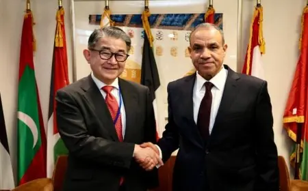 وزير الخارجية يشيد بأهمية الجايكا في تعزيز مشاريع التنمية في مصر