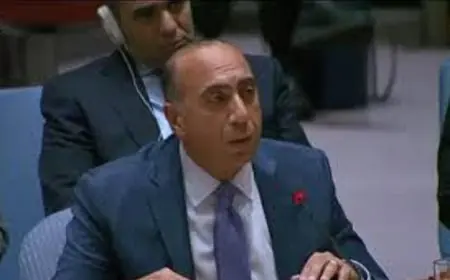 مصر تؤكد في الأمم المتحدة عدم وجود حلول عسكرية لأزمة إيران