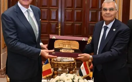 رئيس مجلس الشيوخ المصري يبرز أهمية تعزيز العلاقات الثنائية مع رومانيا