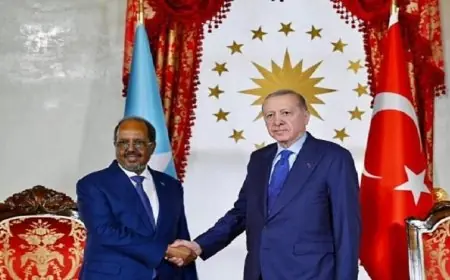 رئيس الصومال يتناول تعزيز العلاقات مع تركيا خلال زيارة إسطنبول