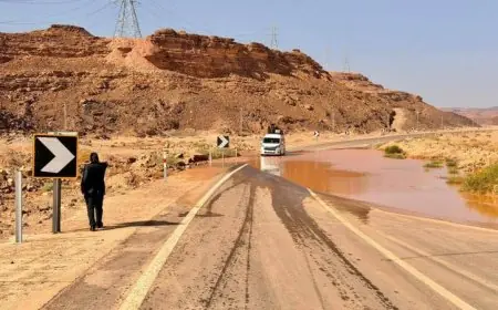 وزير الري يتابع تأثير الأمطار الغزيرة والسيول على محافظة جنوب سيناء