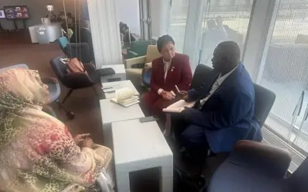 نائب وزير الصحة المصرية تسلط الضوء على تجربة مصر في قضايا السكان والصحة الإنجابية في نيويورك