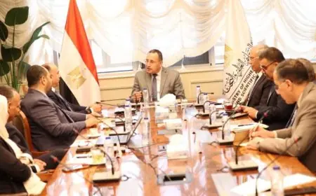 قنصوة يعزز التعاون بين جهاز مستقبل مصر والجامعات والمراكز البحثية لتعزيز الشراكة الأكاديمية