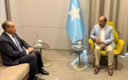 وزير الخارجية المصري يبحث تعزيز التعاون مع الرئيس الصومالي ويؤكد دعم مصر المستمر للصومال