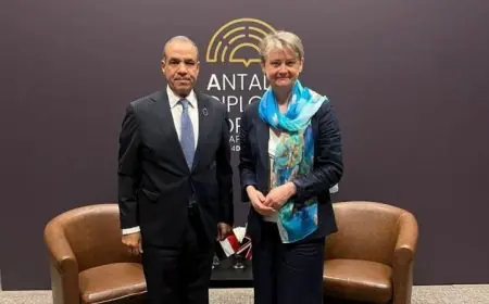 وزير الخارجية يشيد بتطور العلاقات المصرية البريطانية في كافة المجالات