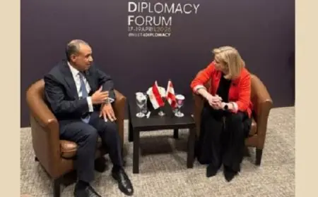 عبد العاطي ونظيرته النمساوية يعتزمون تعزيز العلاقات الثنائية ومناقشة الأوضاع الإقليمية المهمة