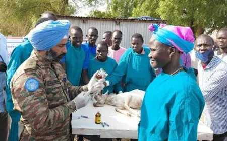 مجلس الأمن يحث على إعادة إطلاق الحوار السياسي في جنوب السودان