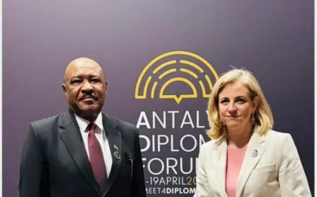 وزيرا خارجية النمسا والسودان يناقشان خطوات إعادة الحياة إلى الخرطوم بمجرد بدء الاستقرار