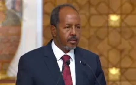الرئيس الصومالي يؤكد التزامه بدعم الجهود الدبلوماسية المتعددة الأطراف