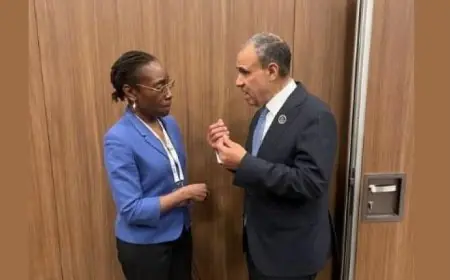 وزير الخارجية يناقش مع رئيسة مجموعة الأزمات الدولية آخر مستجدات الأوضاع الإقليمية