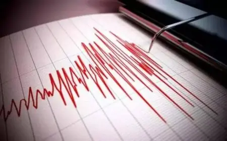 زلزالان قويان يضربان اليابان وتحذيرات من السلطات للمواطنين للبقاء في حالة تأهب