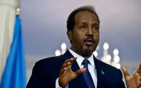 الرئيس الصومالي يؤكد التزام بلاده بدعم الدبلوماسية المتعددة الأطراف وتعزيز السلام والأمن الدوليين