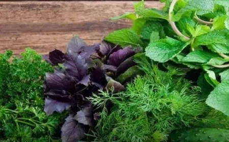 استكشف بدائل طبيعية مذهلة لتنظيم ضغط الدم وتعرف على فوائد الخضروات الورقية