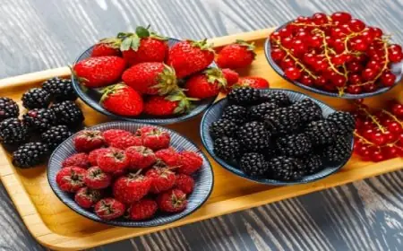 خمسة أطعمة تعزز كفاءة دماغك وتحسن ذاكرتك وتقوي تركيزك