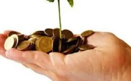 الرقابة المالية تكشف عن تمويل مشروع صغير ومتوسط يصل إلى مليار جنيه يستفيد منه 520 شخصاً