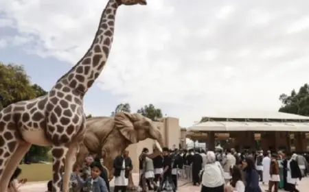 عودة حديقة حيوان طرابلس للحياة بعد 17 عاماً من الإهمال