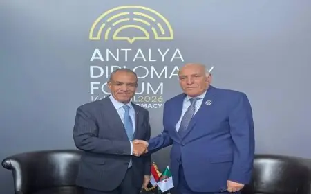 وزير الخارجية يؤكد على قوة العلاقات الأخوية التاريخية بين مصر والجزائر