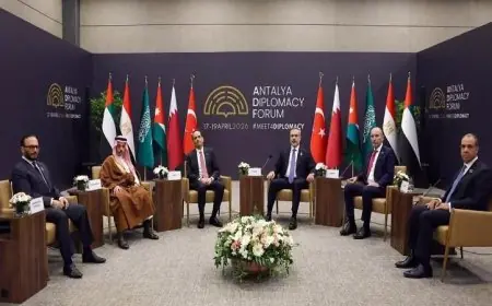 وزير الخارجية يبرز التزام مصر الثابت بالقضية الفلسطينية