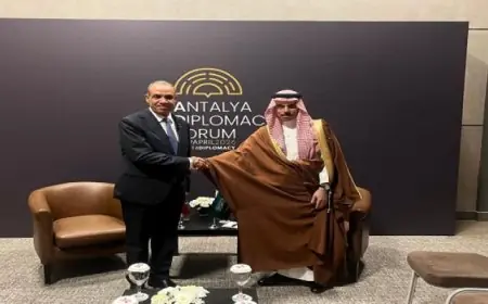 وزير الخارجية المصري يؤكد دعم مصر الكامل للسعودية ويرفض الاعتداءات على أراضيها