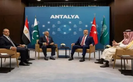 اجتماع وزراء خارجية مصر وتركيا والسعودية وباكستان لجهود إنهاء الصراع الإيراني