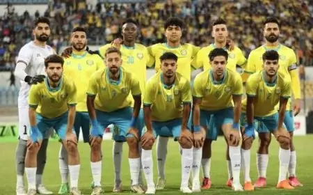 الإسماعيلي يستقبل اقتراح الاستثمار ويؤجل الجمعية العمومية حتى تتضح التفاصيل