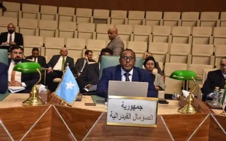 سفير الصومال في القاهرة يدعم بيان رفض تعيين إسرائيل مبعوثا في أرض الصومال