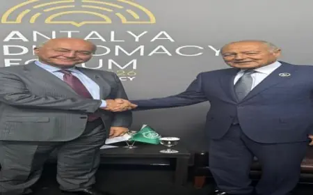 أبو الغيط يؤكد أهمية ملف اللاجئين في الجامعة العربية وجهودها لتخفيف معاناة المتضررين