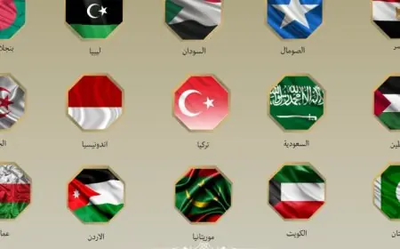 مصر و14 دولة عربية تعبر عن إدانات قوية لتعيين إسرائيل مبعوثاً دبلوماسياً في أرض الصومال