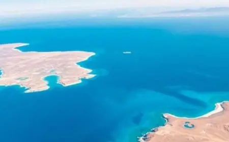 الجيش الأمريكي يكشف عن تأثير الحصار على الموانئ الإيرانية في إعاقة حركة التجارة البحرية بالكامل