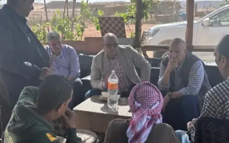 وزارة الزراعة تطلق الدعم الشامل للمتضررين من سيول وادى سعال