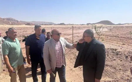 بدء تقديم الدعم الشامل للمتضررين من سيول وادي سعال حسب وزارة الزراعة