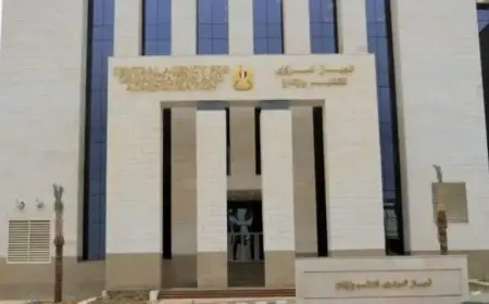 التنظيم والإدارة تعلن عن بدء تقديم طلبات التعاقد مع 1864 إمامًا وخطيبًا ومدرسًا في وزارة الأوقاف