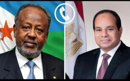 الرئيس السيسي يقدم التهاني لنظيره الجيبوتي بمناسبة فوزه بولاية رئاسية جديدة عبر اتصال هاتفي
