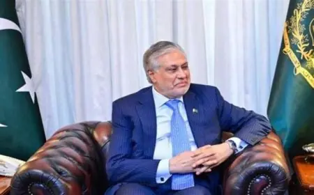 وزير خارجية باكستان وإيران يتفقان على مواصلة الحوار لتعزيز الاستقرار الإقليمي