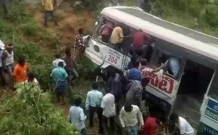 مصرع 50 شخصا وإصابة آخرين في حادث انقلاب حافلة مروع في الهند