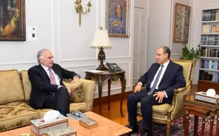 عبد العاطي يؤكد للمبعوث الأممي أهمية استئناف مفاوضات أمريكا وإيران