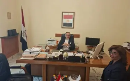 سفير مصر في لبنان يؤكد على دور مصر الريادي في جهود تثبيت الهدنة والحل يجب أن يبدأ من الداخل