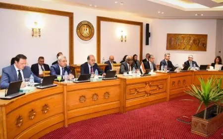 الجولة الأولى من الحوار الاستراتيجي بين مصر وفرنسا تعقد لبحث التعاون المشترك
